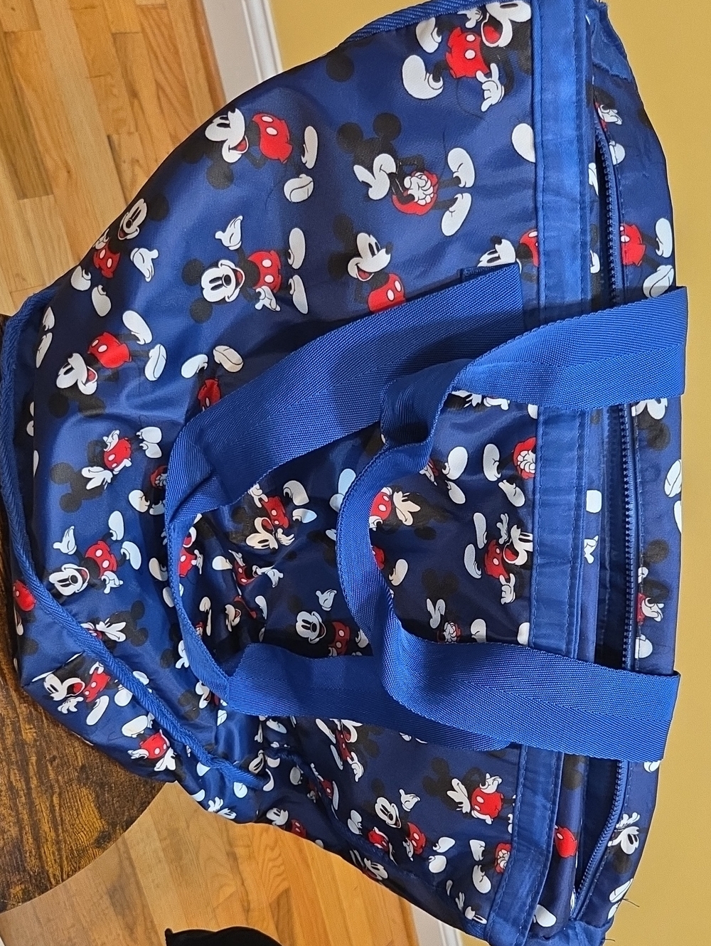 Mickey Bag